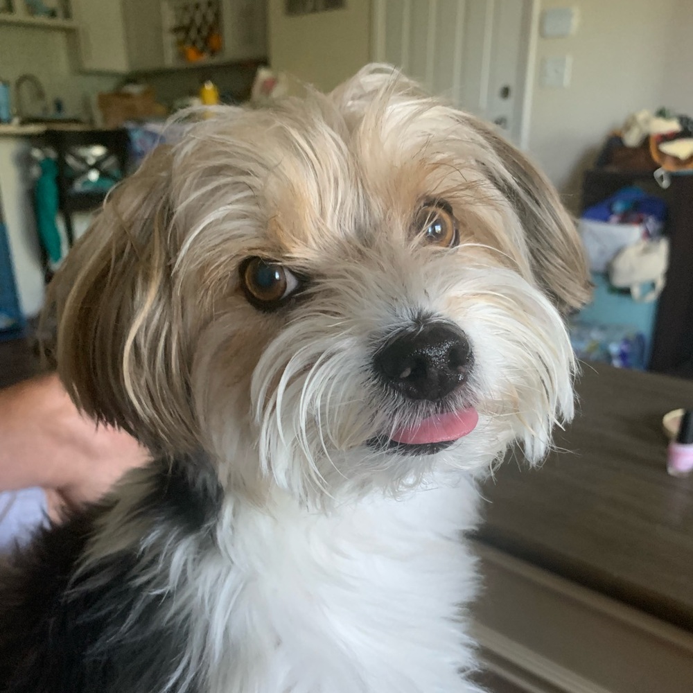 Meet your Posher, Sherry